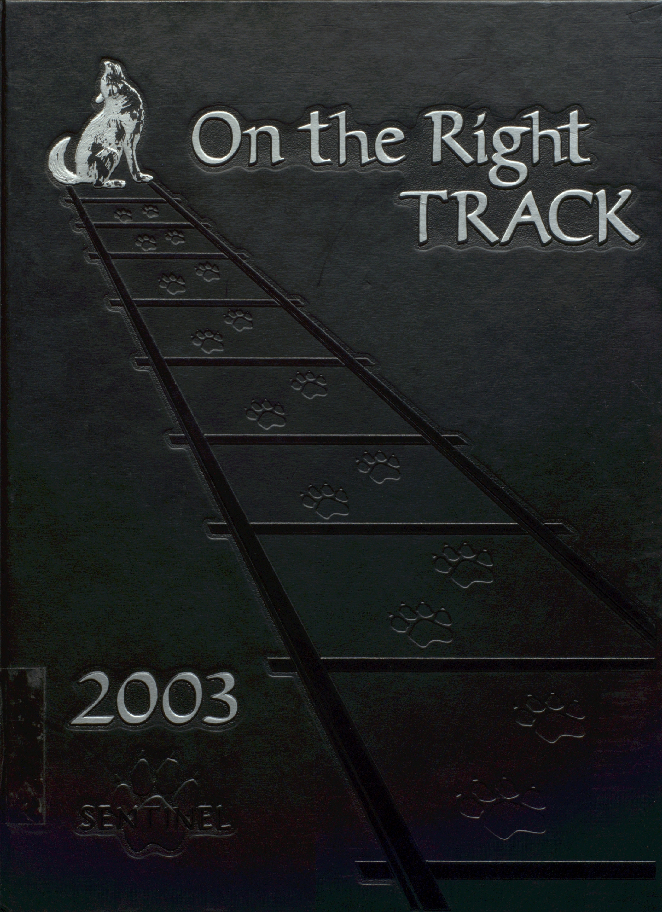 Sentinel 2003