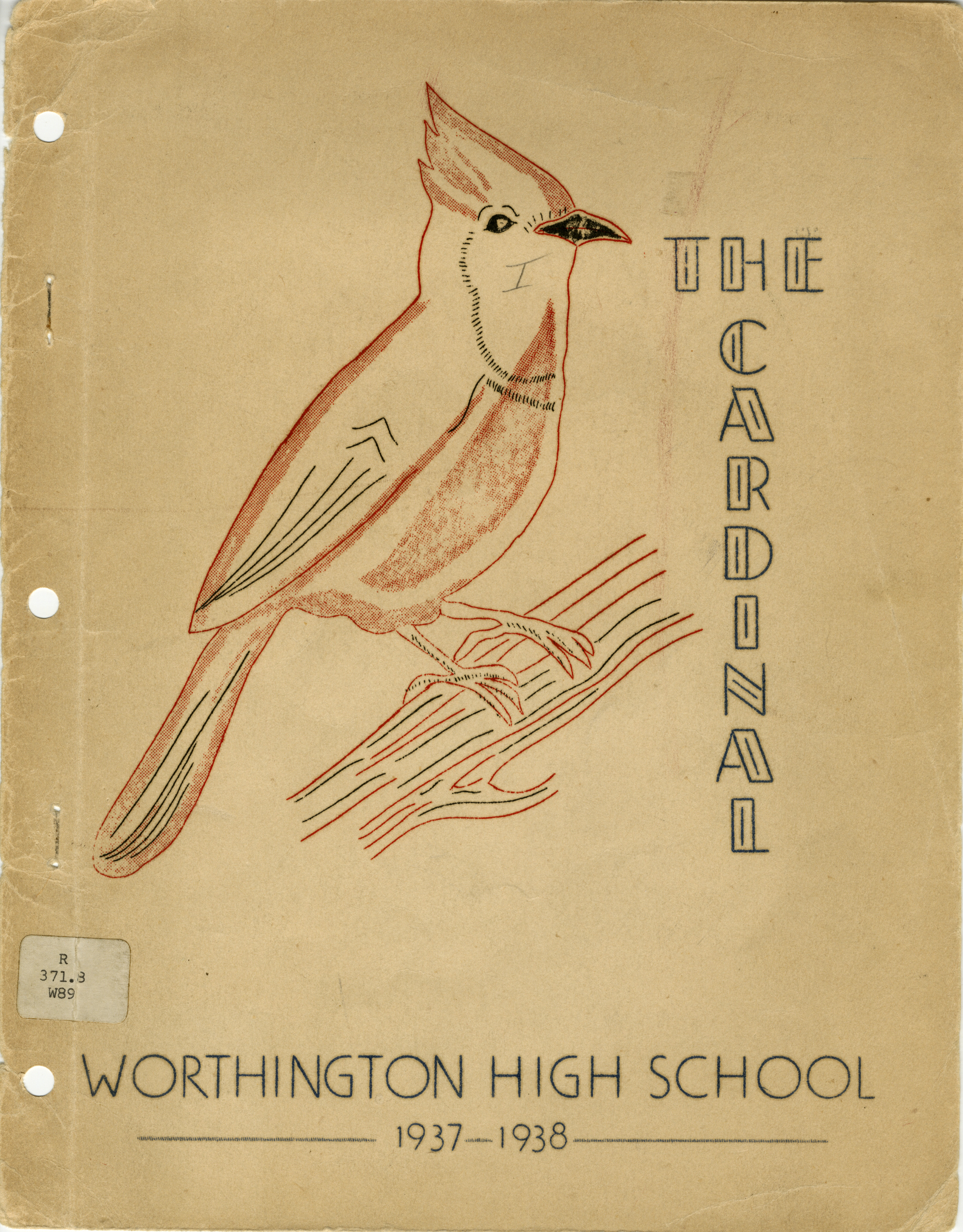 The Cardinal
