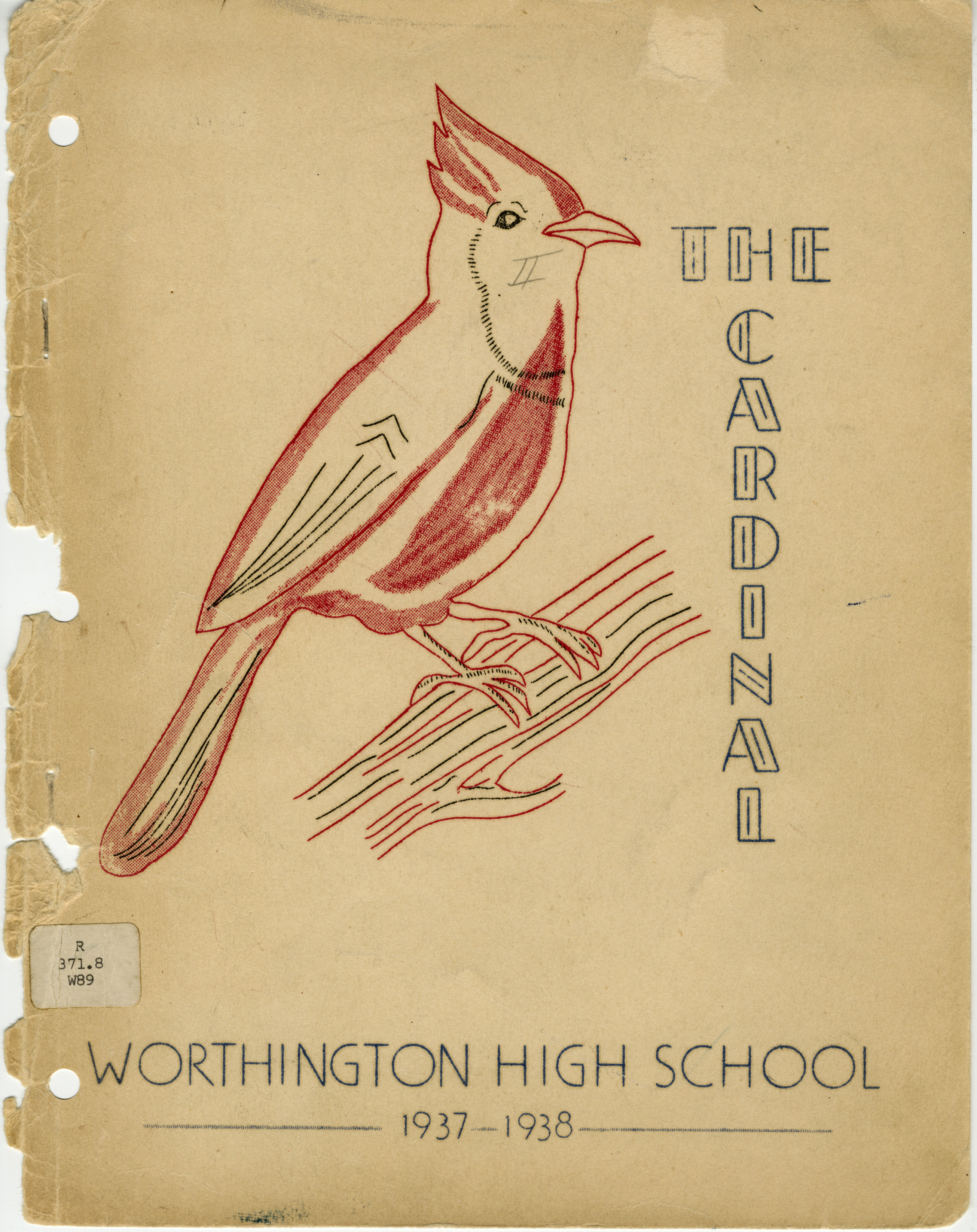 The Cardinal