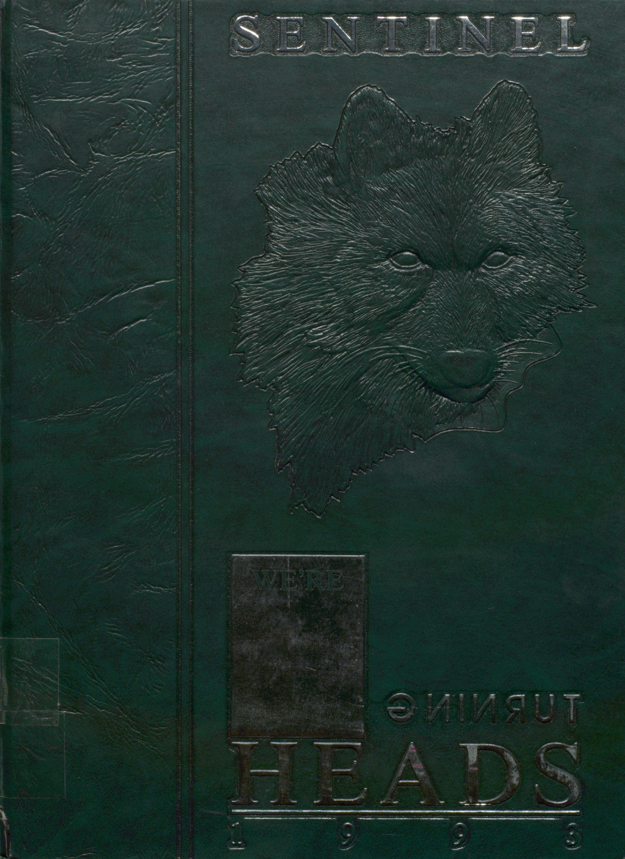 The Sentinel 1993