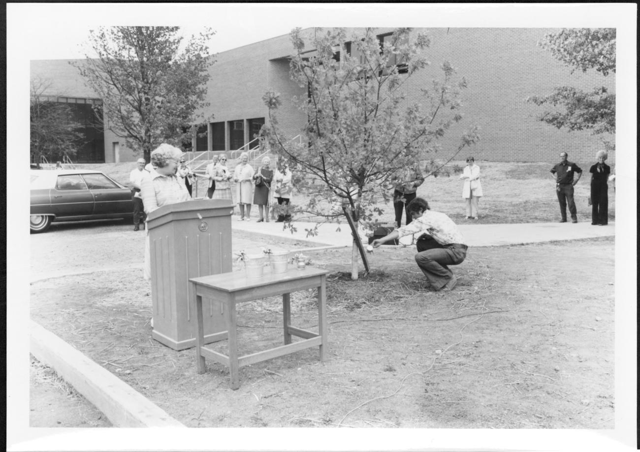 Charter Oak Dedication