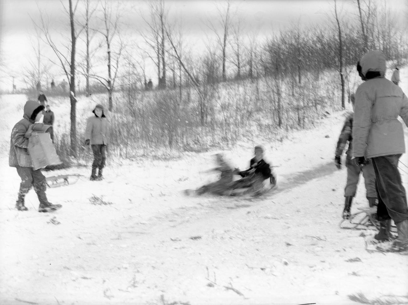 Children Sledding Down "Devil's Hill" Sled Run