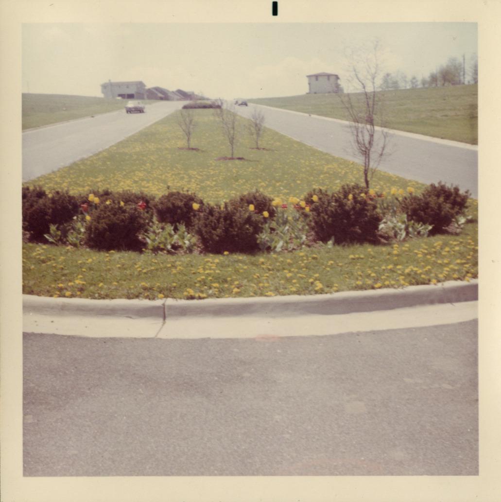 Entrance to Worthington Hills with Worthington Hills Garden Club Beautification Project, 1968