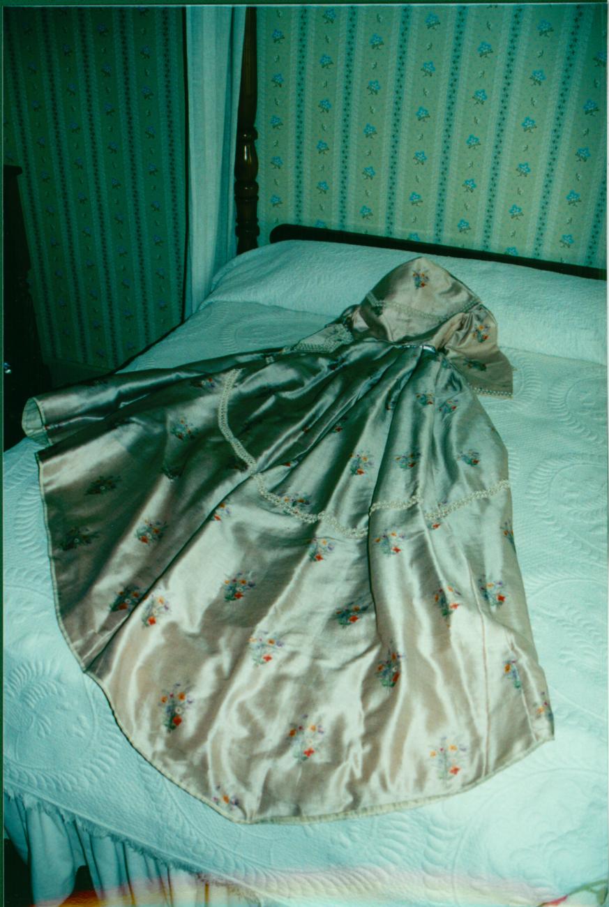 Mary Johnson Sessions' Ball Gown