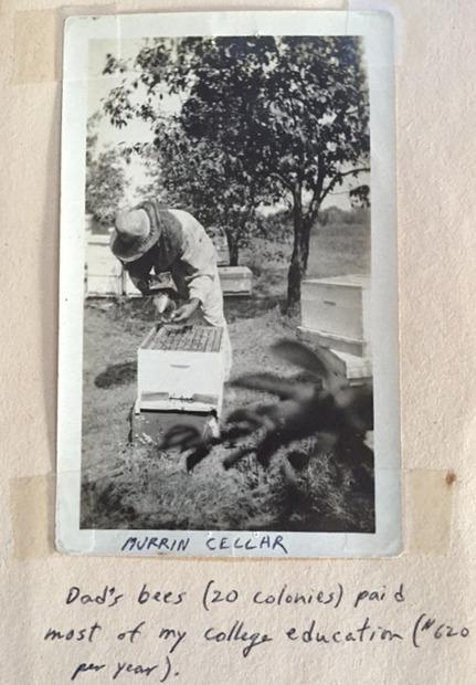 Photograph of Murrin Cellar with Beehives on the Brown Fruit Farm
