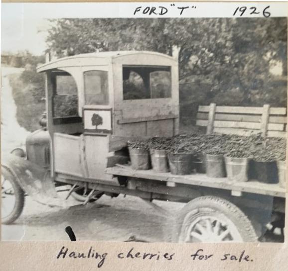 Photograph of a Ford Model T Truck Hauling Cherries from the Brown Fruit Farm
