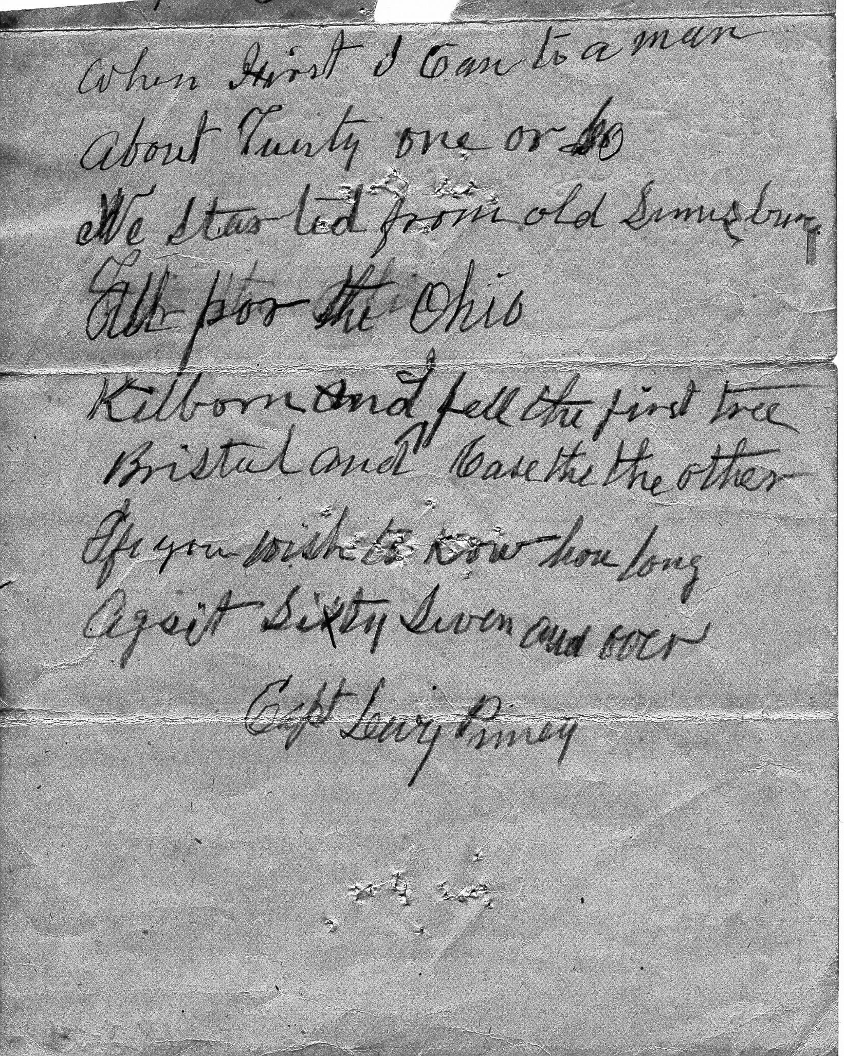 Felling trees on Village Green