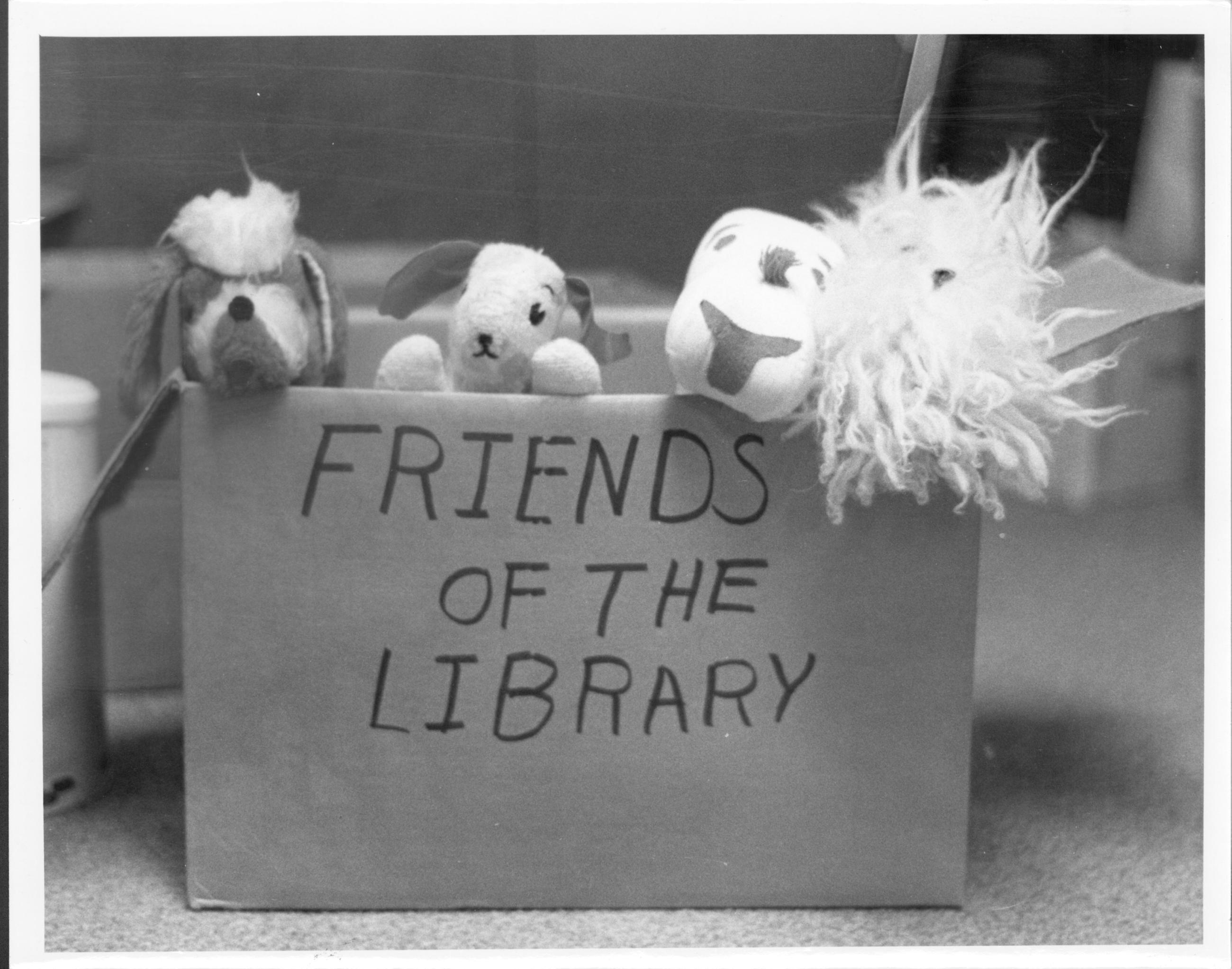 Friends of the Library Display