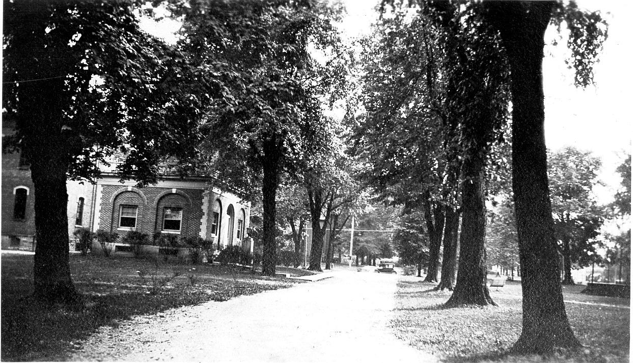 Library on the Village Green