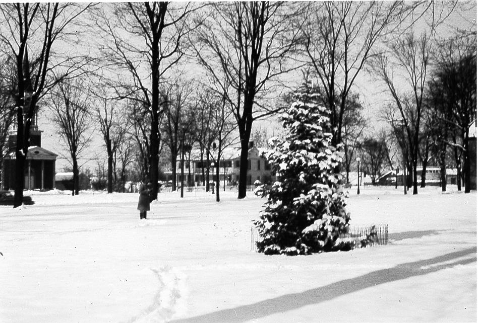Northwest Quadrant of the Village Green
