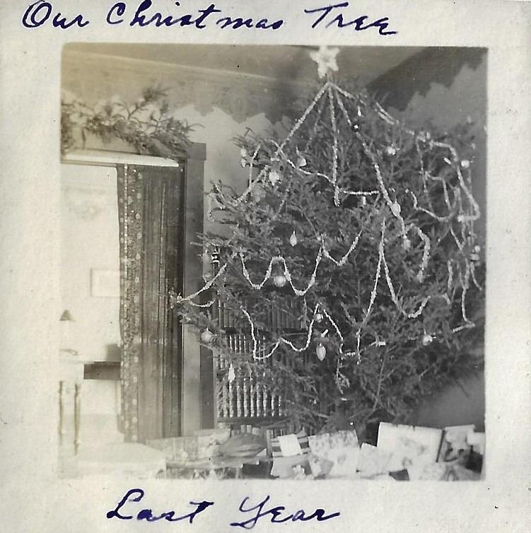 Photograph of the McCullough Christmas Tree