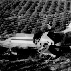 Aerial Photograph of the Brown Fruit Farm