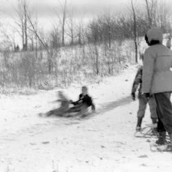 Children Sledding Down "Devil's Hill" Sled Run