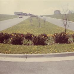 Entrance to Worthington Hills with Worthington Hills Garden Club Beautification Project, 1968