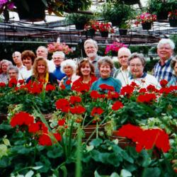 First Hanging Baskets