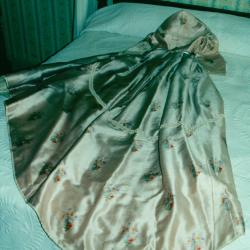 Mary Johnson Sessions' Ball Gown