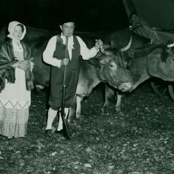 Sesquicentennial Pageant