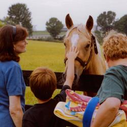 Wagon Train Encampment
