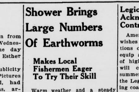 Snippet from a newspaper showing a headline "Shower Brings Large Number of Earthworms"