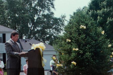 David Spellacy Memorial Tree