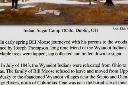 Indian Sugar Camp