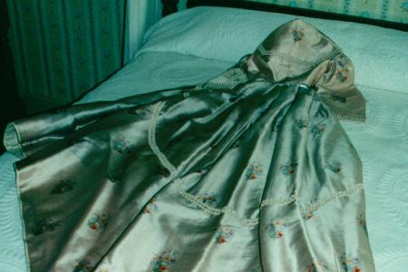 Mary Johnson Sessions' Ball Gown