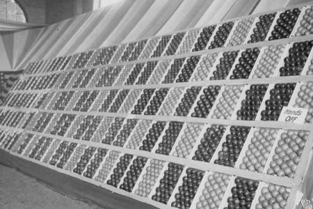Photograph of the Brown Fruit Farm Apple Display at The Ohio State Fair