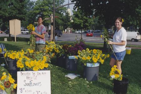 Two Vendors with Sunflowers at the Worthington Farmer's Market